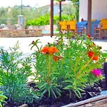 Pagaseon And 卡拉内拉